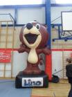 SAM_0638