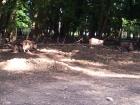 20140508_173857