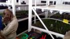 IMG_20140514_155450