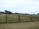 DSC07031