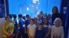 IMG-1c6d8681cc8077b8c2e63aa894972486-V
