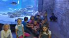 IMG-254fb2aa427d77cfebd639557d91eb4e-V