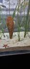 IMG-84fe3a2937703f5883cff84370a3d5e1-V