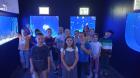 IMG-980039e5c91adb05862c7450ee85847e-V