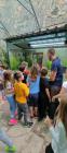IMG-A12f3b5d4bc3ebd790149e929d82c785-V