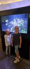 IMG-Ad0c4344bafccf959846eb621142114d-V