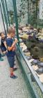 IMG-Be1c2d712524ac522f9cd86d70399a44-V