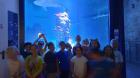 IMG-C0639d35153dfbcc3c10a7b61eecd441-V
