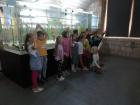 IMG-D2ba28cd372d6a92bc9f0b440841c96d-V
