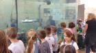 IMG-D664e097619c62e674247f5add69c81e-V