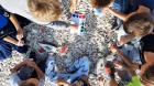 IMG-8c94a52567c2bd51967158efac7e5dc4-V