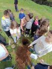 IMG-7d125254b31de611dd1a18312314c48a-V
