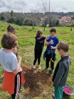 IMG-D084db8260bf8ffa955baa606a662767-V