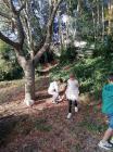 IMG-26f6350d71f0e2c6645cacdb30420555-V