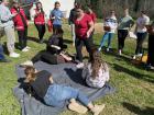 IMG-0d44467145aac23b57696960bb68e759-V