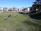 20190326_153410