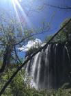IMG-79eda1ee4612932579e973b91d739047-V