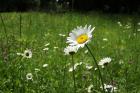 DSCF0084