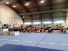 GIM SKOLSKO03
