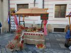 Danikruha003