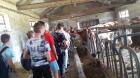 7b Krave