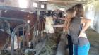 7b Krave2