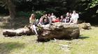 7b Park