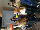 IMG_20220610_111302