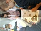 IMG_20220610_111311