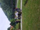 IMG_20220610_113821