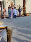 Viber_slika_2023-10-19_09-56-57-368