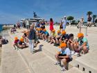 Novigrad27