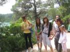 Mljet