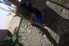 DSC02429