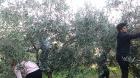 IMG_20171122_110529
