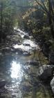 20171028_133630_resized