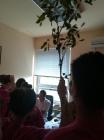 IMG-20180615-WA0226