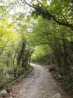 IMG-20220505-WA0010