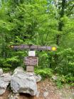 IMG-20220505-WA0017