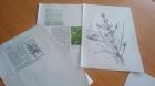 IMG-149da583ab609a3ea6a05eb936a86946-V