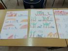 IMG_20190131_112344