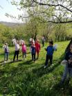 IMG_20190417_112612