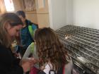 IMG-933731725a7d2f67c8625ebccc2831f3-V