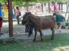 Izlet15