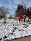 IMG_20210202_114815