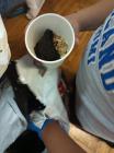 IMG_20231208_144010_984