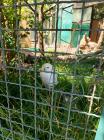 IMG-20240618-WA0010