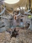 IMG-20240618-WA0011