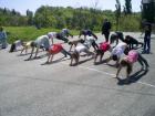 5 Yoga (5)