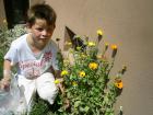 Neven